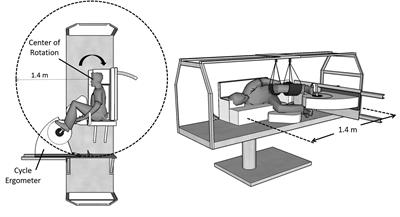 Short-Term Cardiovascular Response to Short-Radius Centrifugation With and Without Ergometer Exercise